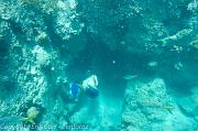 BVI Diving-0169